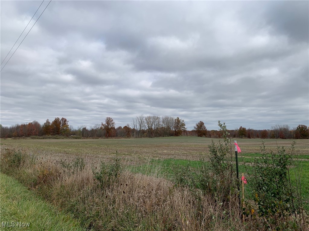 V/L Township Road 391, Sullivan, Ohio image 3