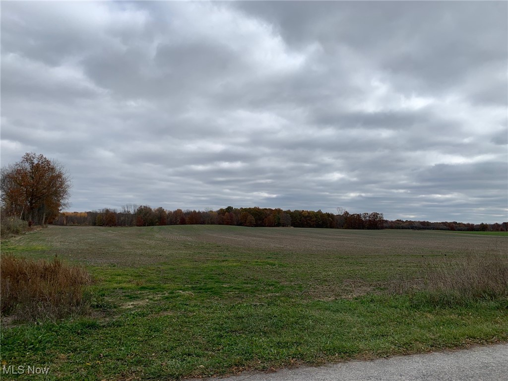 V/L Township Road 391, Sullivan, Ohio image 15