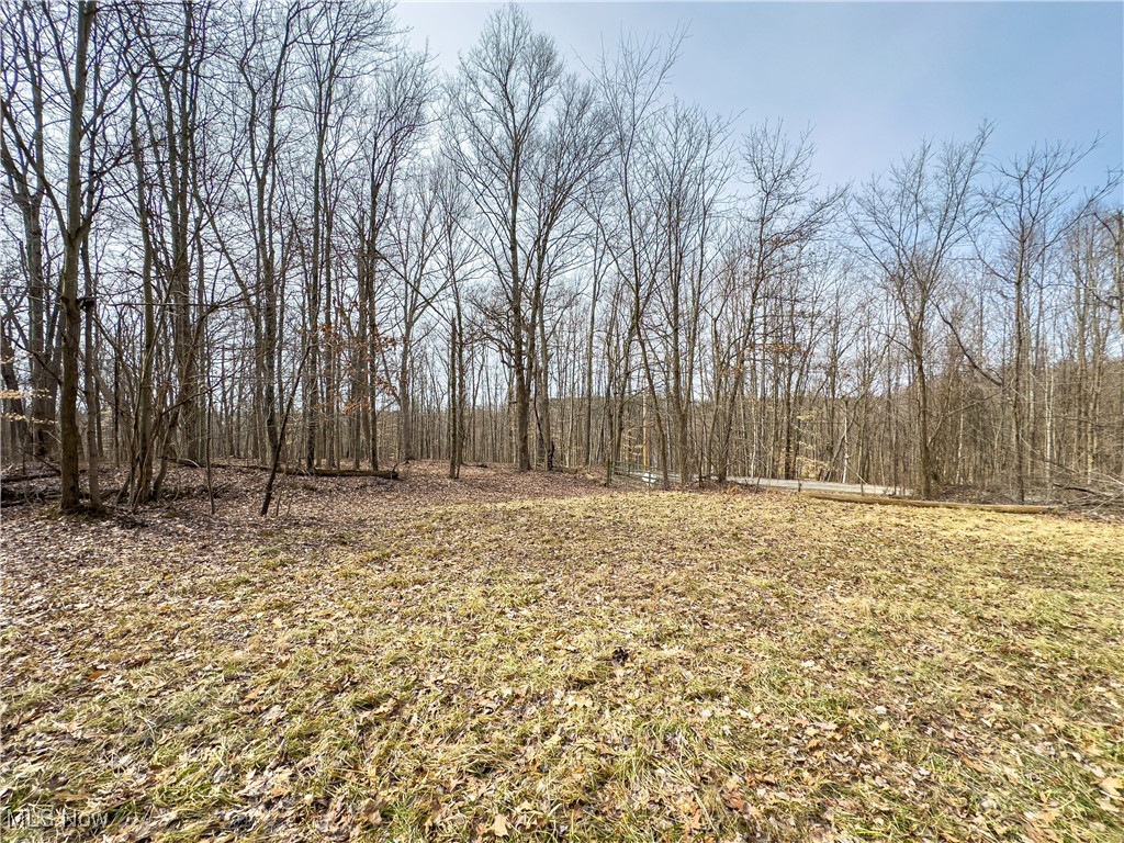 Mulberry Road, Mount Perry, Ohio image 13