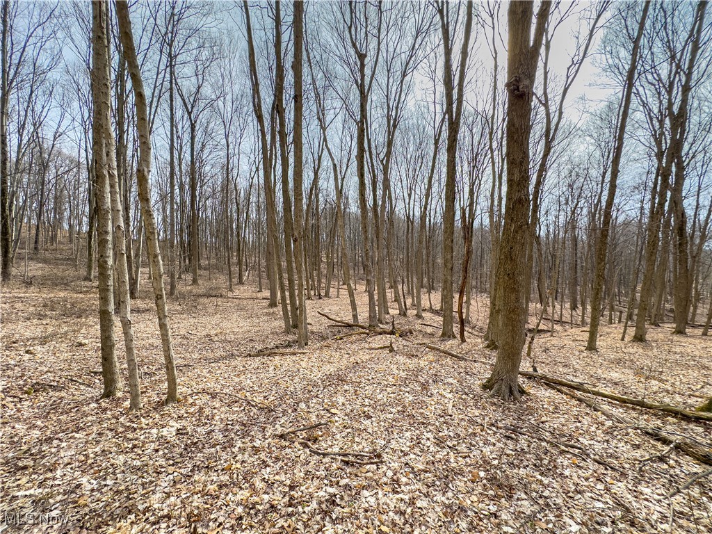Mulberry Road, Mount Perry, Ohio image 25