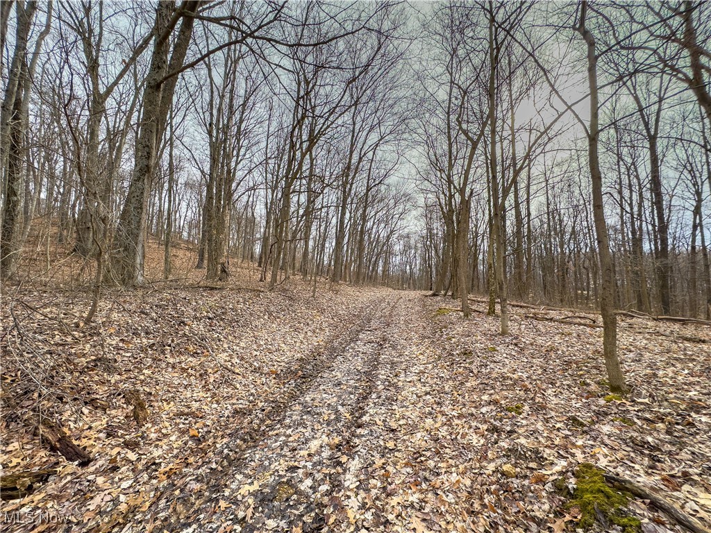 Mulberry Road, Mount Perry, Ohio image 14