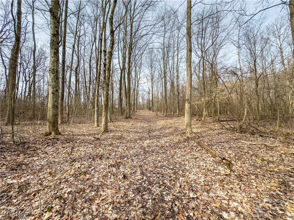 Mulberry Road, Mount Perry, Ohio image 27