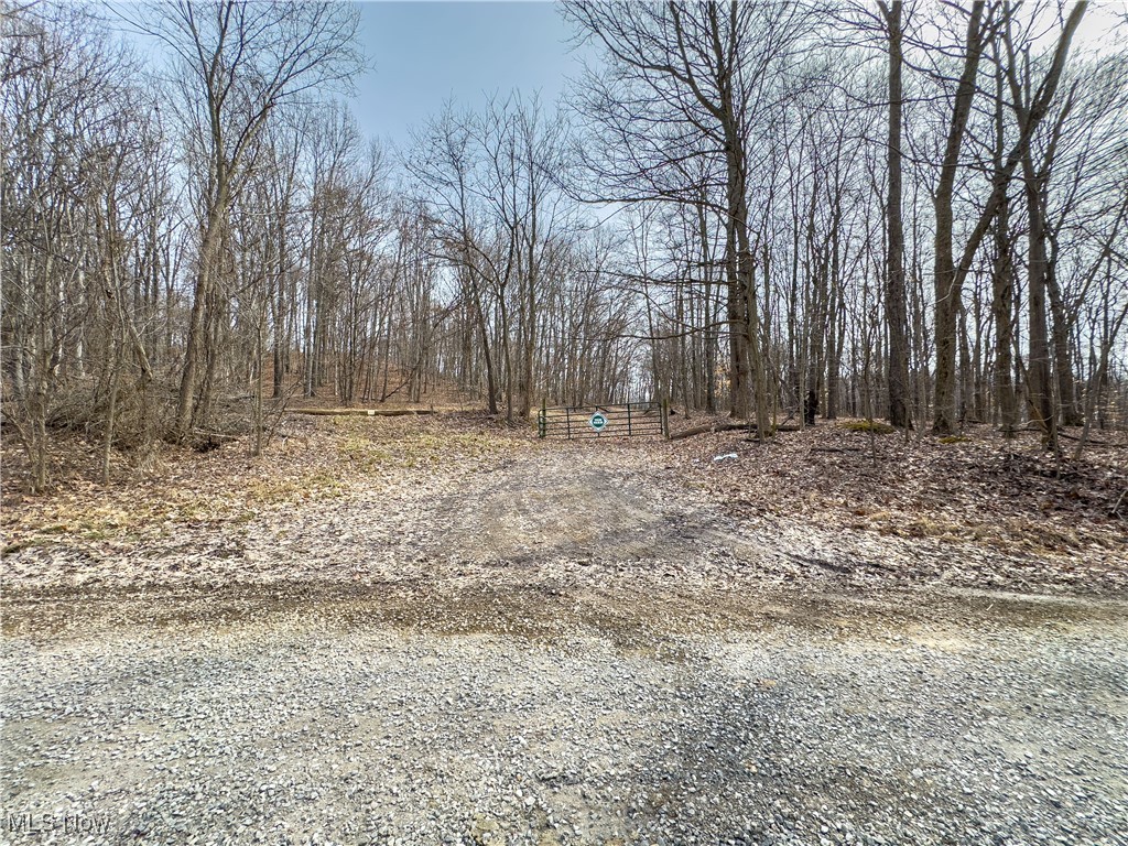 Mulberry Road, Mount Perry, Ohio image 10