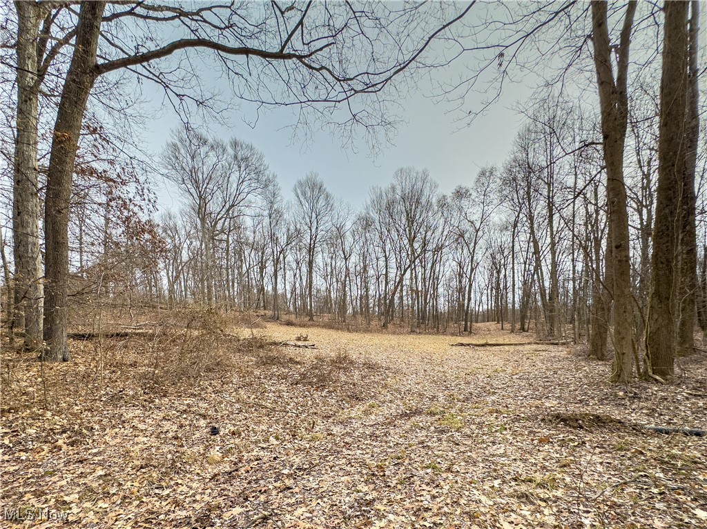 Mulberry Road, Mount Perry, Ohio image 15