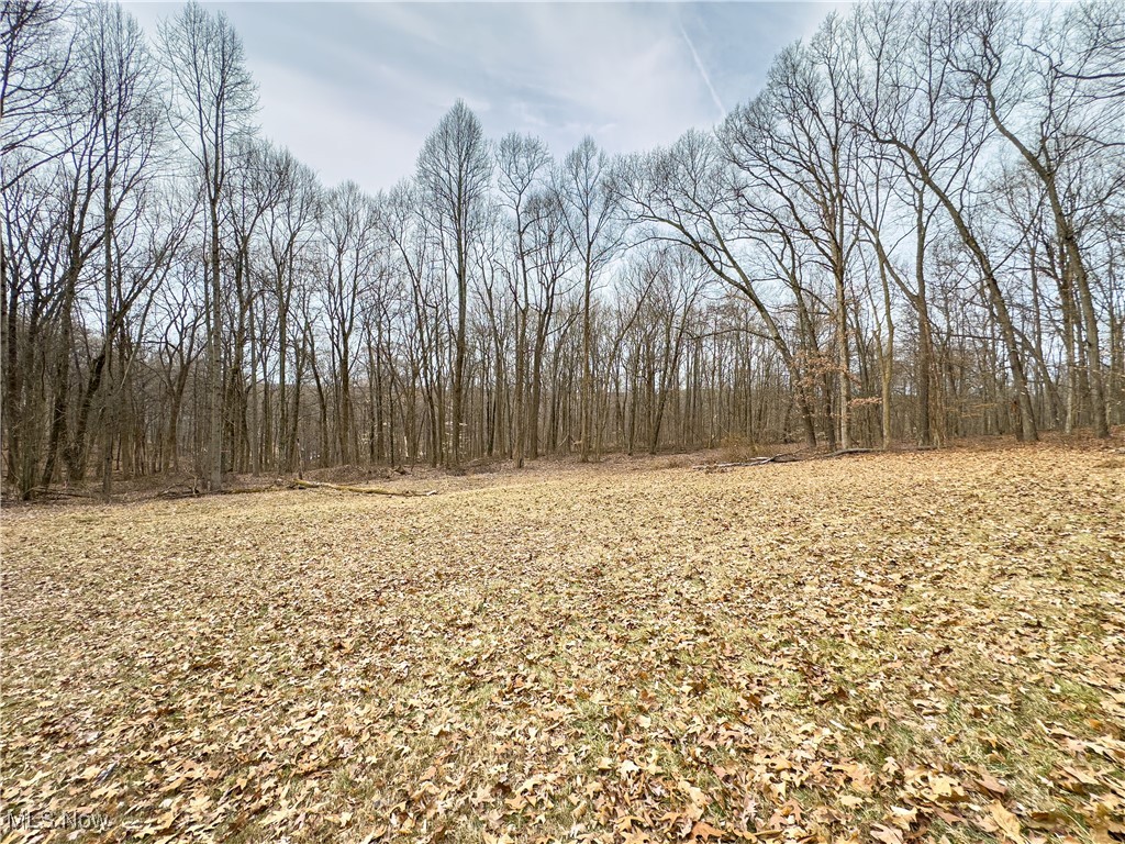 Mulberry Road, Mount Perry, Ohio image 17