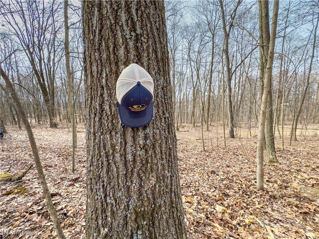 Mulberry Road, Mount Perry, Ohio image 22
