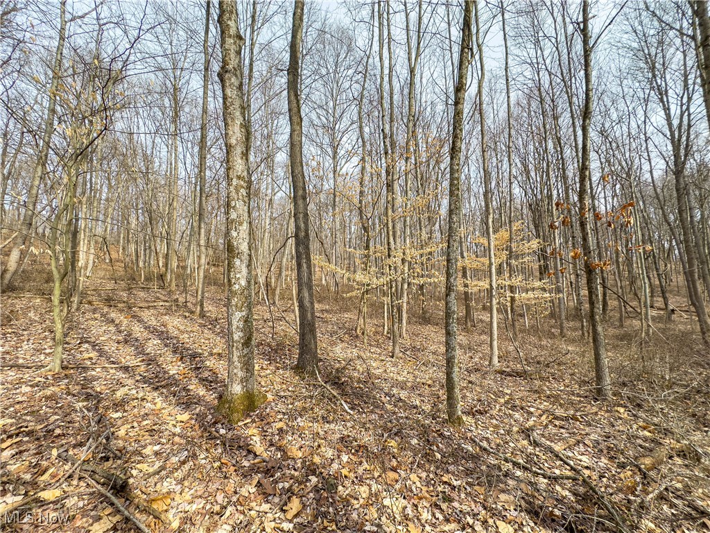 Mulberry Road, Mount Perry, Ohio image 24