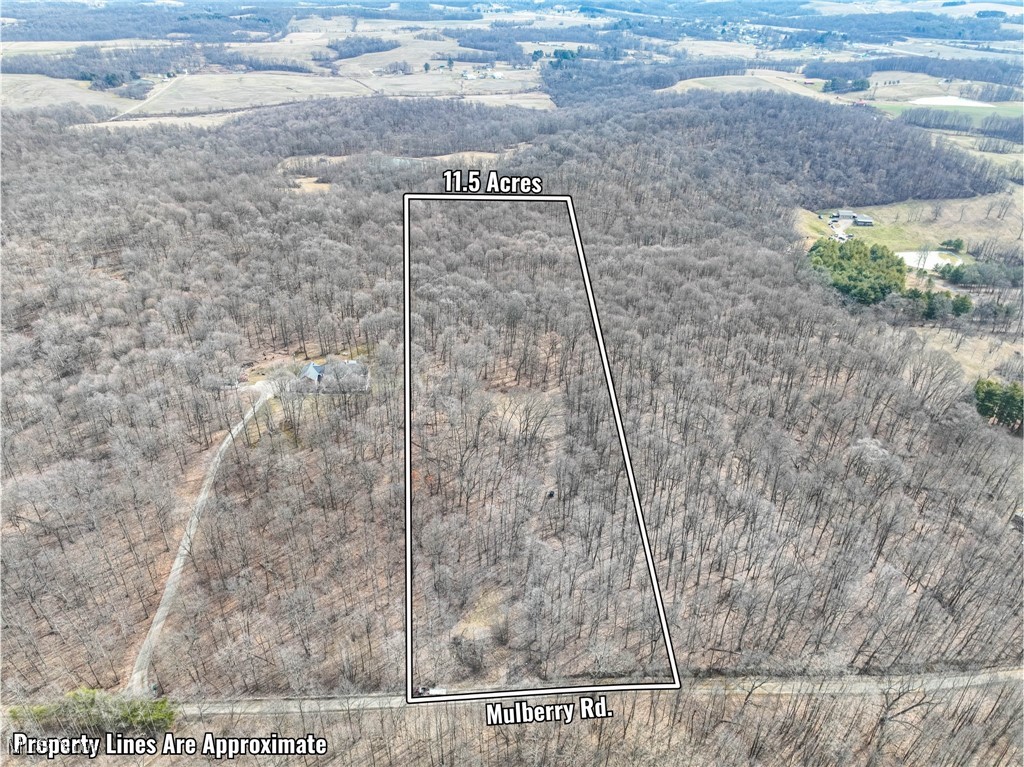 Mulberry Road, Mount Perry, Ohio image 1