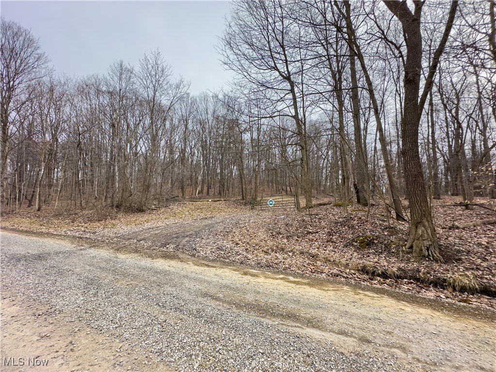 Mulberry Road, Mount Perry, Ohio image 9