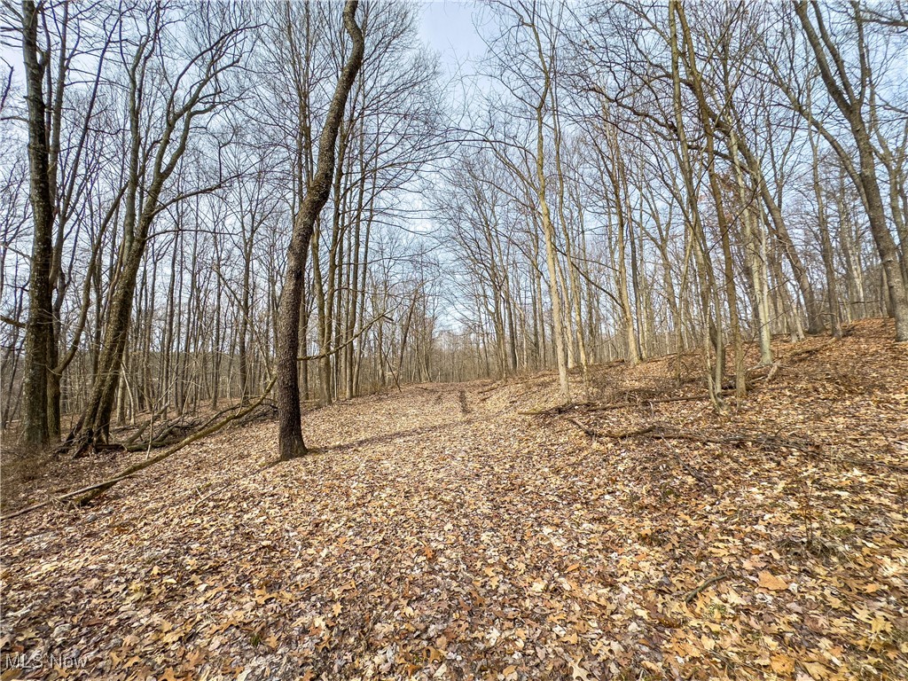 Mulberry Road, Mount Perry, Ohio image 30