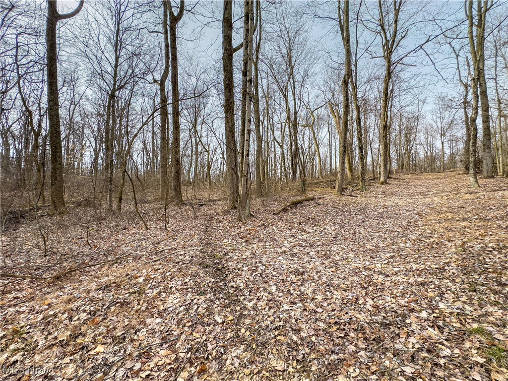 Mulberry Road, Mount Perry, Ohio image 20