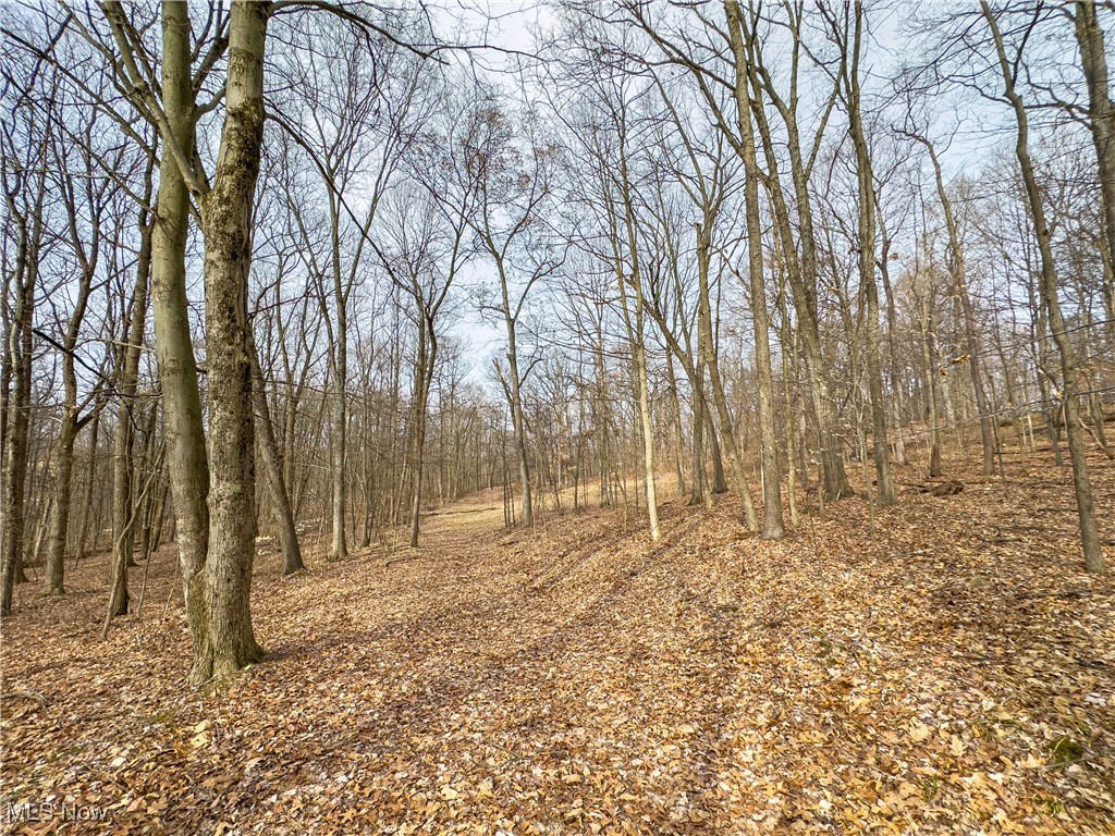 Mulberry Road, Mount Perry, Ohio image 18