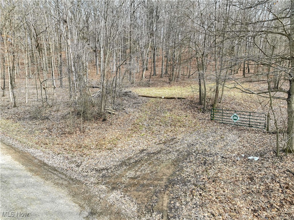 Mulberry Road, Mount Perry, Ohio image 8
