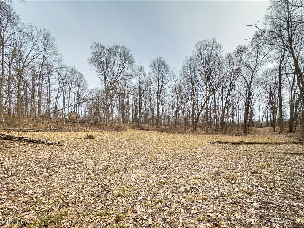 Mulberry Road, Mount Perry, Ohio image 16