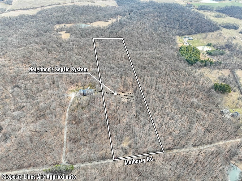 Mulberry Road, Mount Perry, Ohio image 4