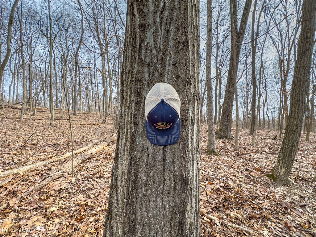 Mulberry Road, Mount Perry, Ohio image 21