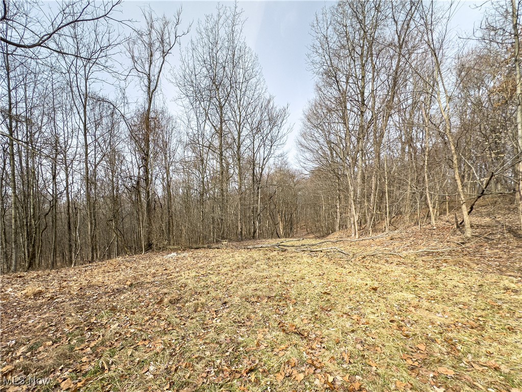 Mulberry Road, Mount Perry, Ohio image 28