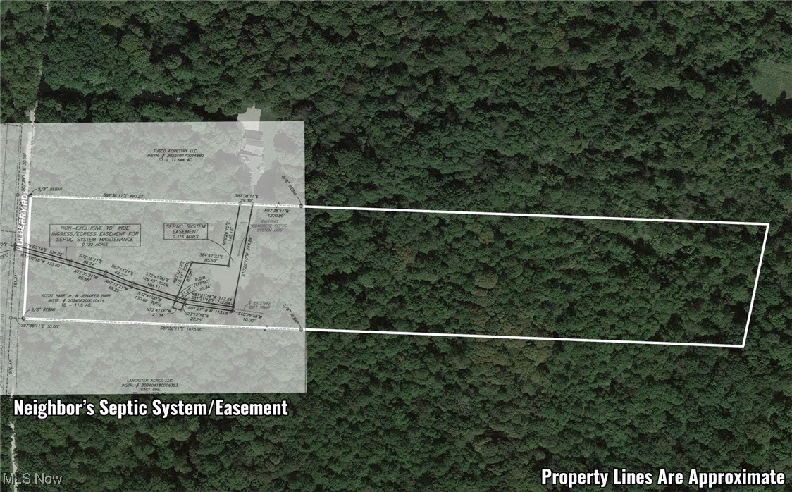 Mulberry Road, Mount Perry, Ohio image 5