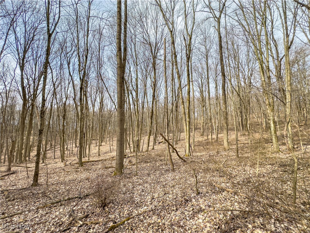 Mulberry Road, Mount Perry, Ohio image 26