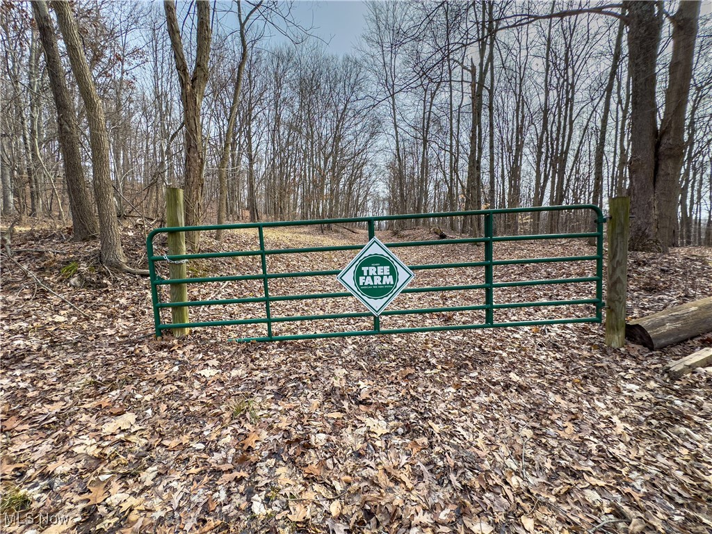 Mulberry Road, Mount Perry, Ohio image 11