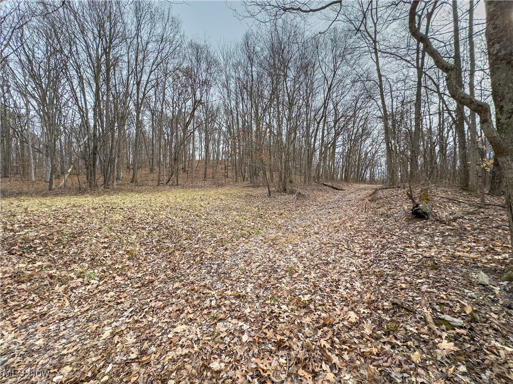 Mulberry Road, Mount Perry, Ohio image 12