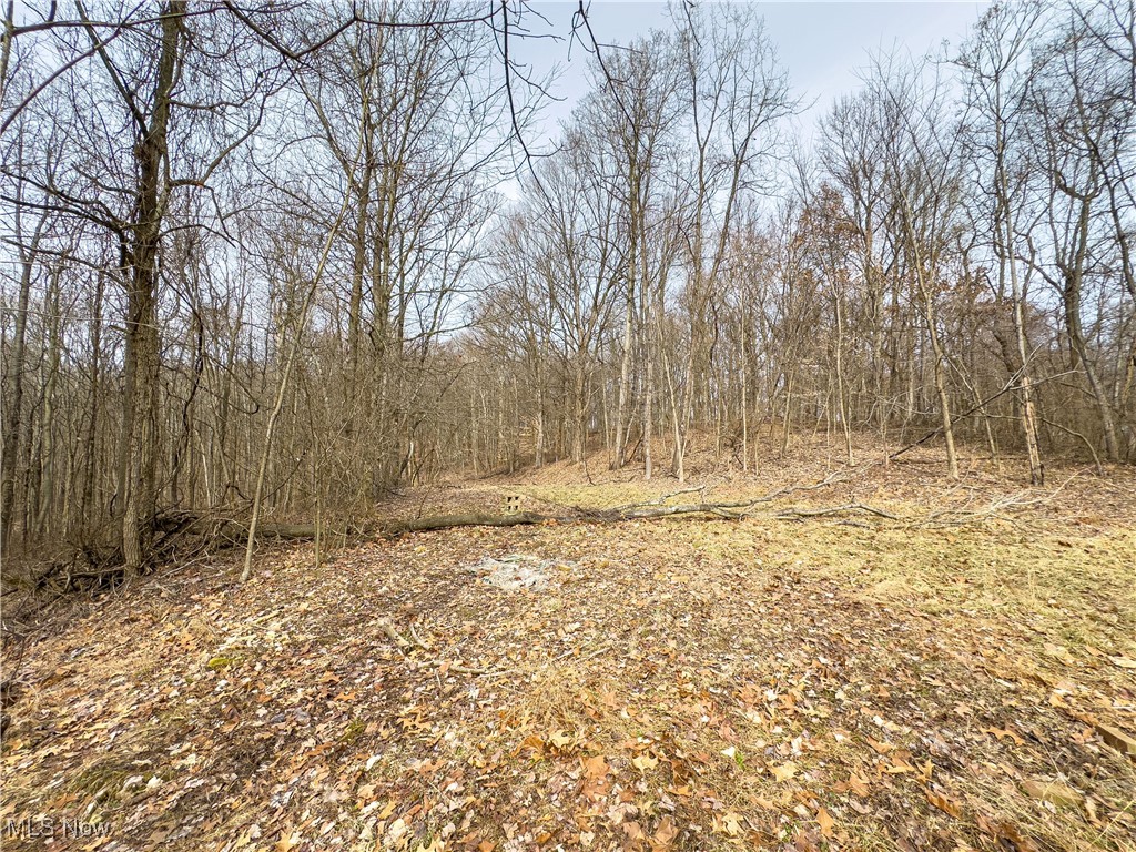 Mulberry Road, Mount Perry, Ohio image 29