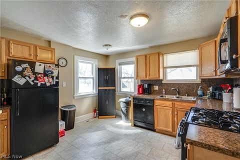 Tiny photo for 934 Packard Drive, Akron, OH 44320 (MLS # 5190394)