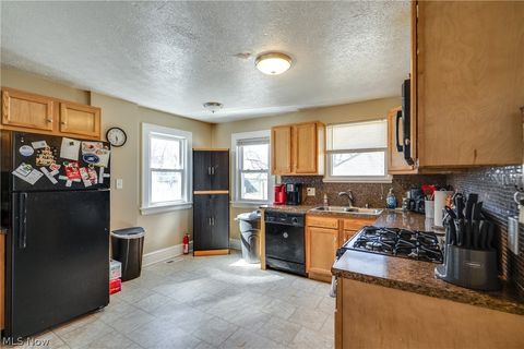 Tiny photo for 934 Packard Drive, Akron, OH 44320 (MLS # 5190394)