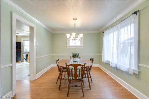 Tiny photo for 934 Packard Drive, Akron, OH 44320 (MLS # 5190394)