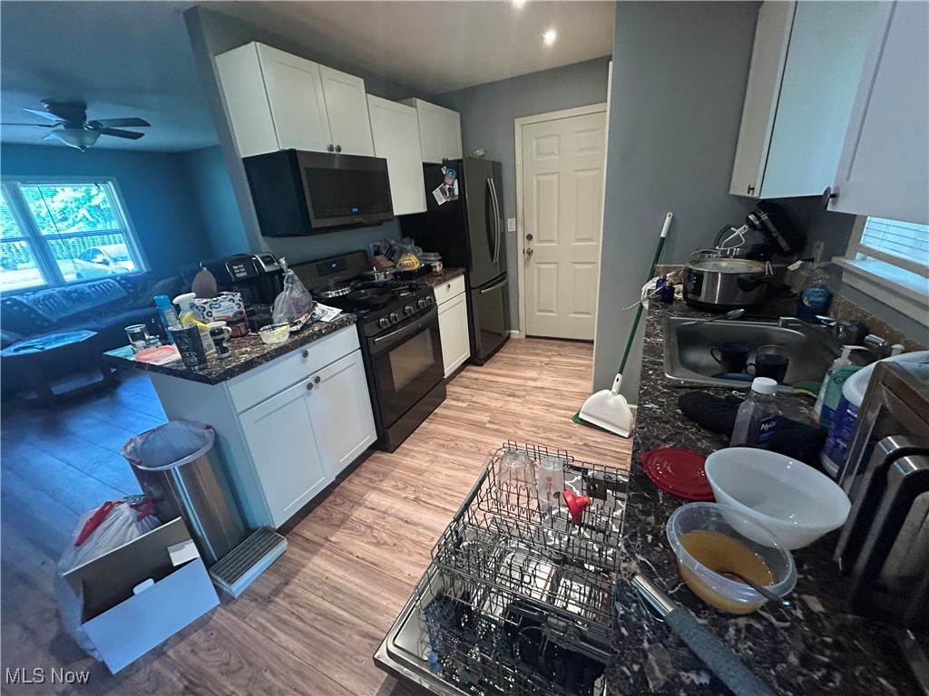 6216 Kirkwall Street, Madison, Ohio image 3