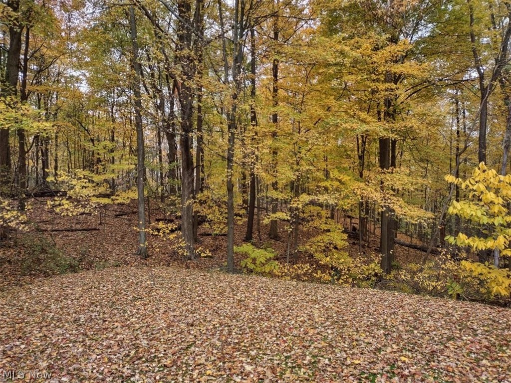 Strongsville - Residential