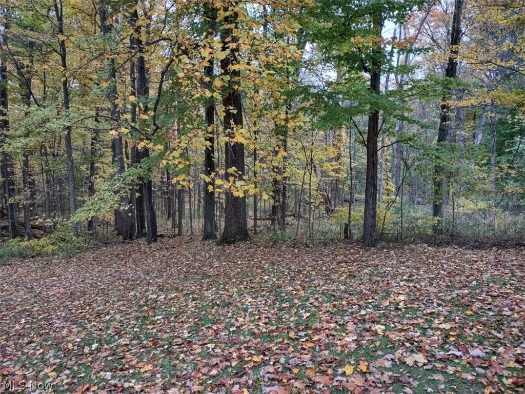 Strongsville - Residential