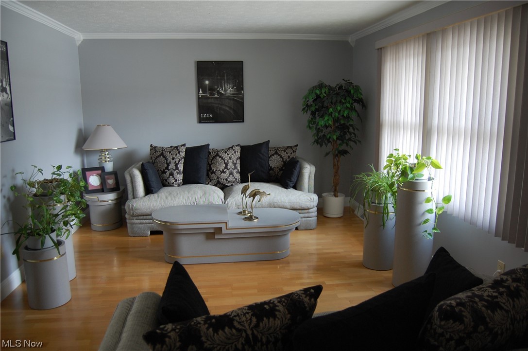 Black Forest Estates - Residential