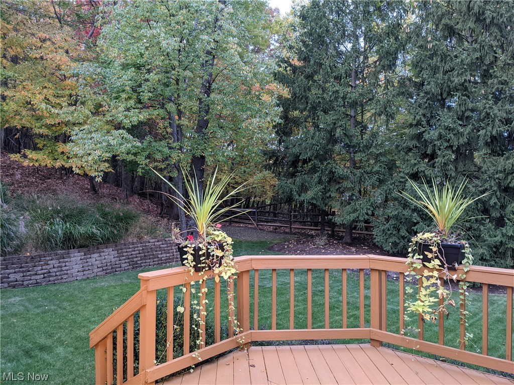 Black Forest Estates - Residential