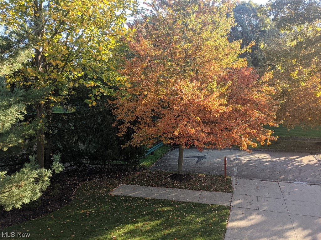 Black Forest Estates - Residential