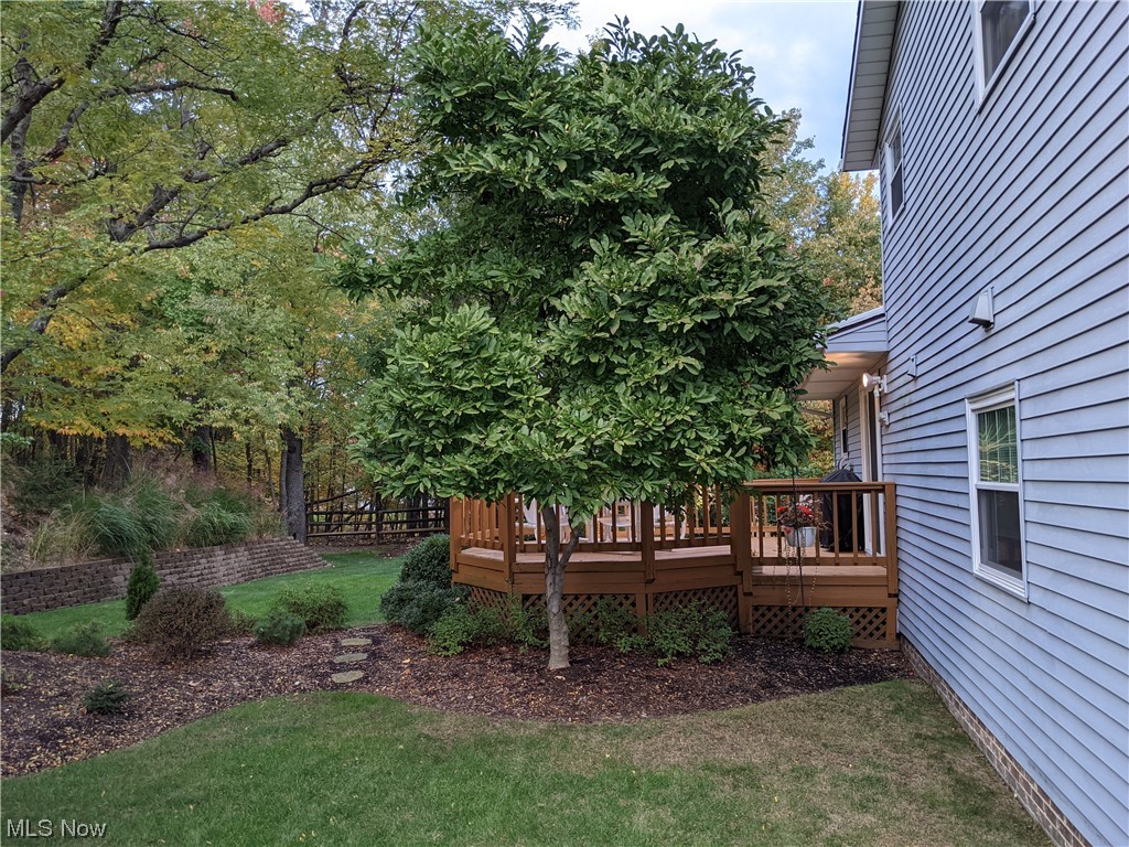 Black Forest Estates - Residential