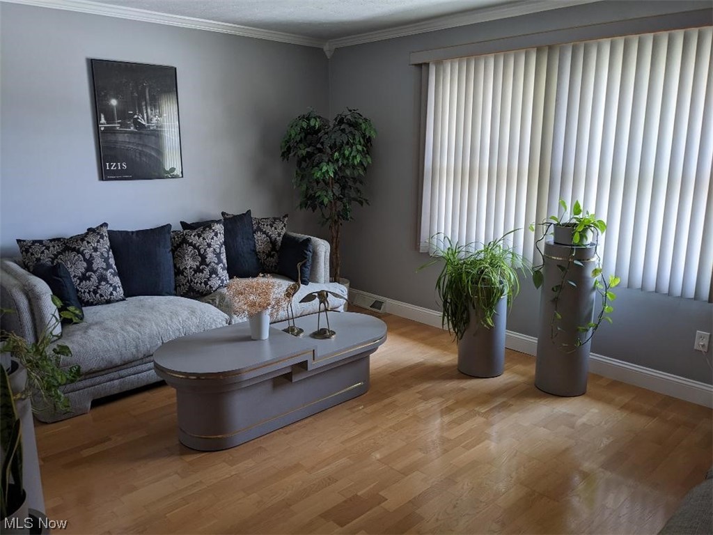 Black Forest Estates - Residential