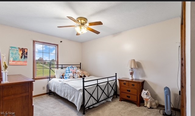 Pheasant Ridge - Residential