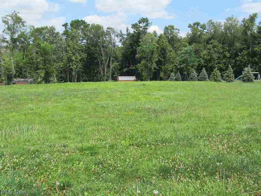 Level lot on nice street, great location, flat lot, newer homes surround.