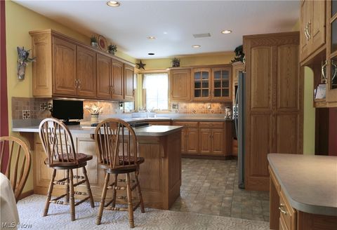 Tiny photo for 7714 Lucerne Dr DR, Millersburg, OH 44654 (MLS # 5208519)