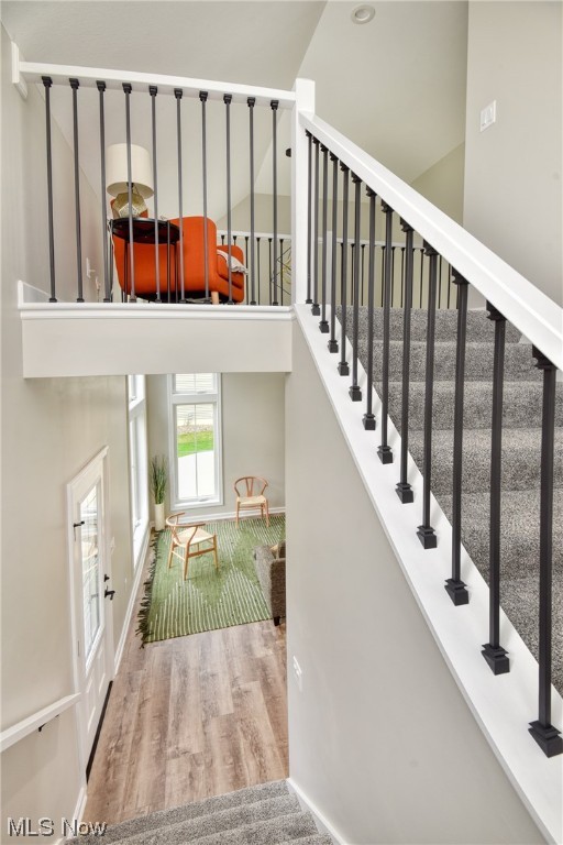 Bricker Farms 04 - Residential