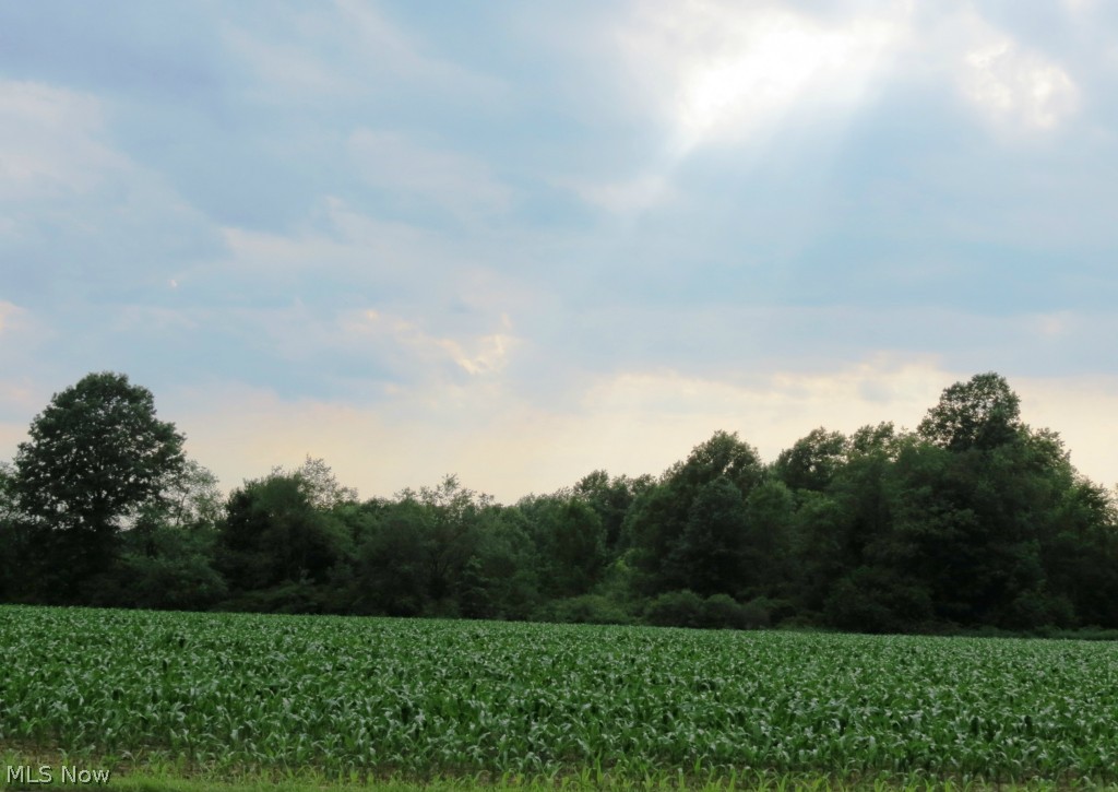 Andy Matta 01 Sec 47 - Residential