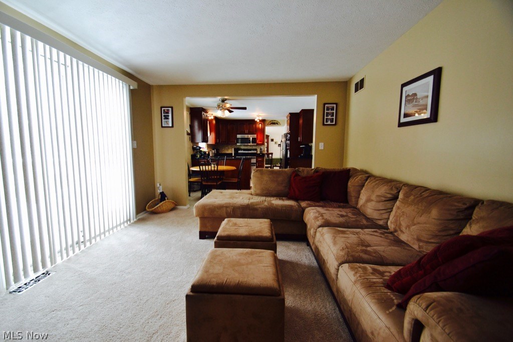 Meadows - Residential