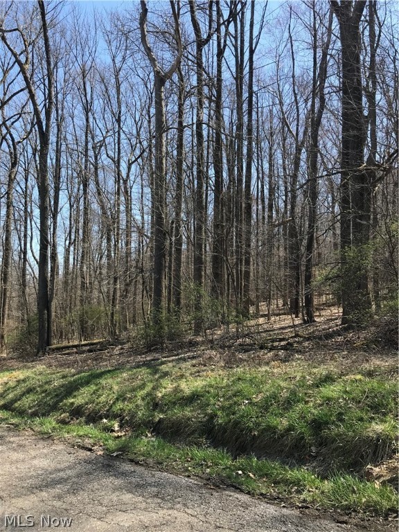Over 42 wooded acres only minutes away from Lake Mohawk that is abundant with timber! Don't miss your opportunity to use this for recreation, or to build your dream home! There is also a possibility to subdivide it! Call today for your private showing!