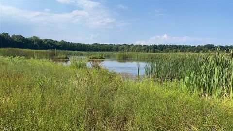 Vacant Land For Sale - Flagdale<br/> Perry County, Junction City, OH 43748