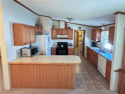 Tiny photo for 707 Brookside Drive, Wellington, OH 44090 (MLS # 5190003)