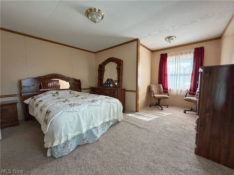 Tiny photo for 707 Brookside Drive, Wellington, OH 44090 (MLS # 5190003)