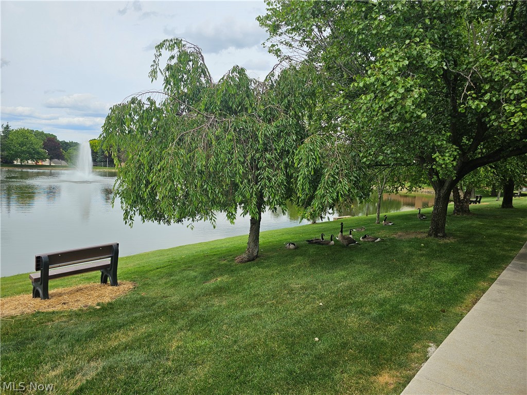 8605 Scenicview Drive 203