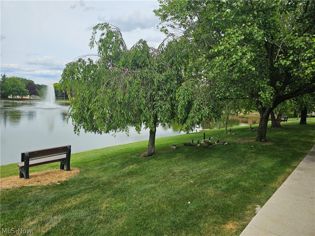 Photo of 8605 Scenicview Drive #203, Broadview Heights, OH 44147 (MLS # 5220149)