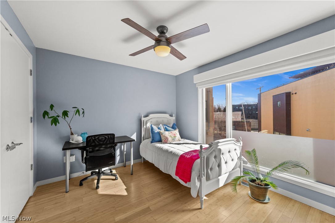 Little Italy - Residential